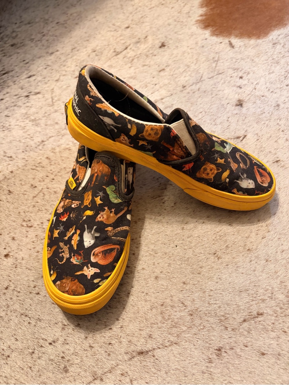 Vans X National Geographic